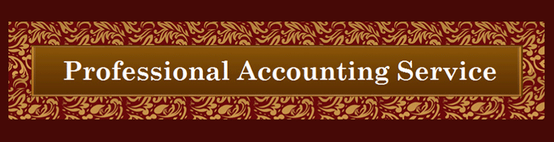 Professional Accounting Service
